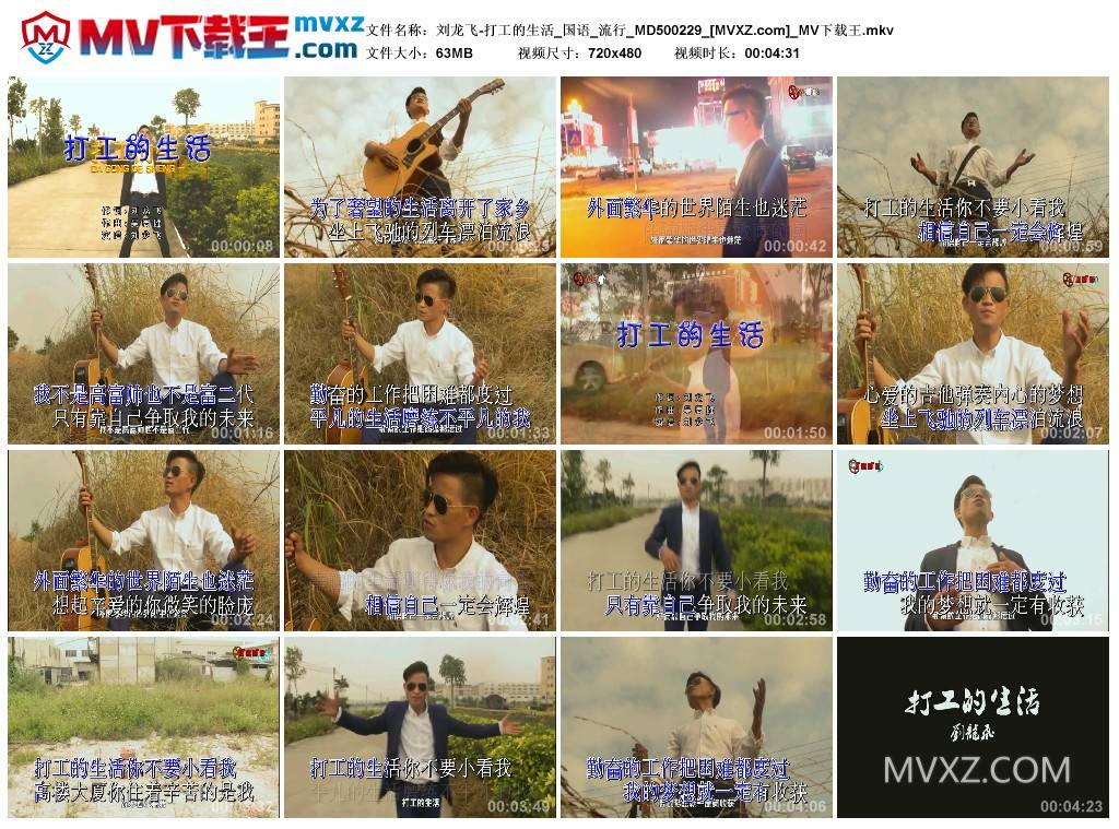 刘龙飞-打工的生活_国语_流行_MD500229
